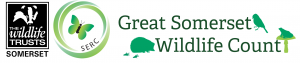 Great somerset wildlife count logo